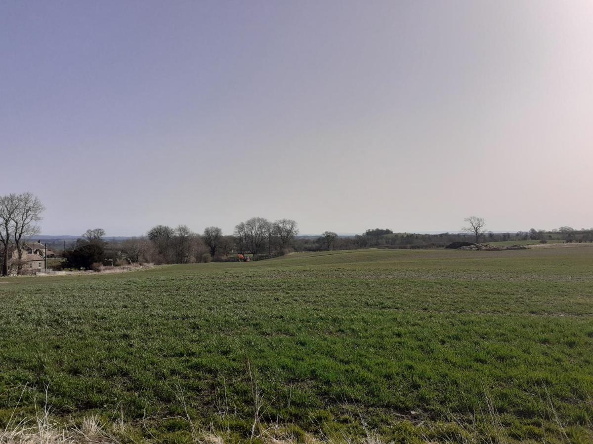 לינה וארוחת בוקר ברנרד קאסל Lily Hill Farm מראה חיצוני תמונה